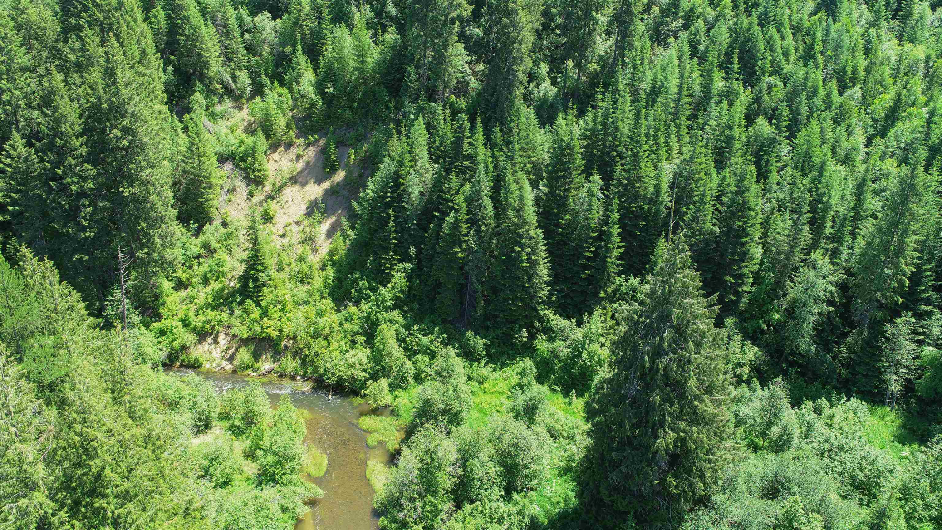 5585 Rocky Gorge Road Usk, WA 99180 - Photo 6 of 15 Gallery Image 6