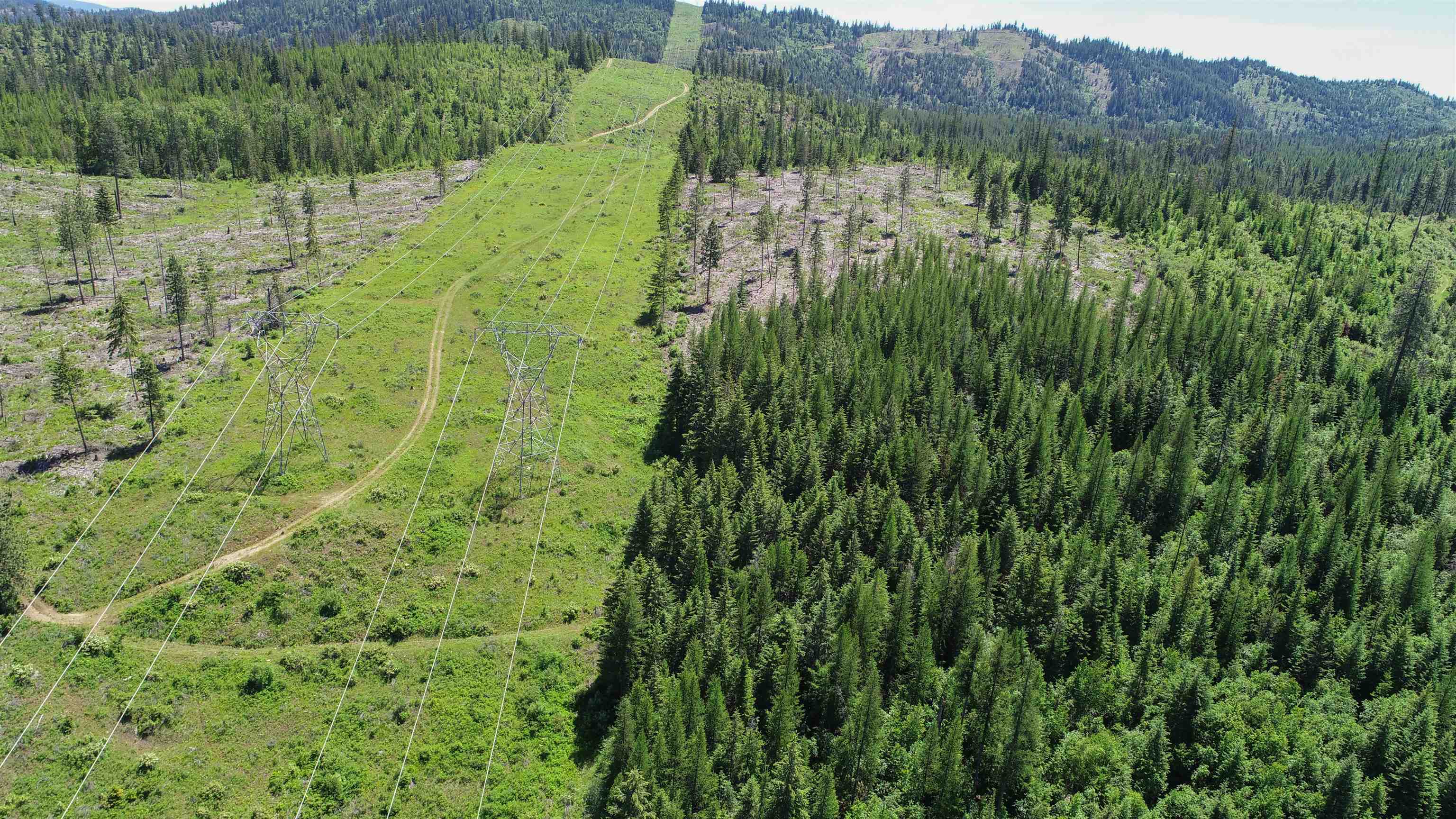 5585 Rocky Gorge Road Usk, WA 99180 - Photo 8 of 15 Gallery Image 8