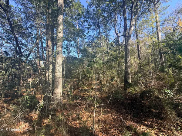 $125,000 | 3601 Ling Drive, Gautier, MS 39553