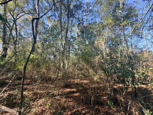 $125,000 | 3601 Ling Drive, Gautier, MS 39553