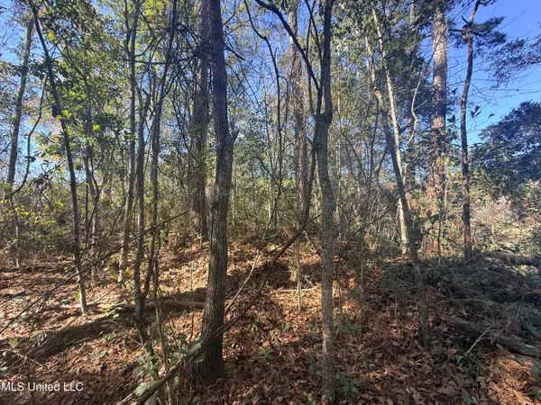 $125,000 | 3601 Ling Drive, Gautier, MS 39553
