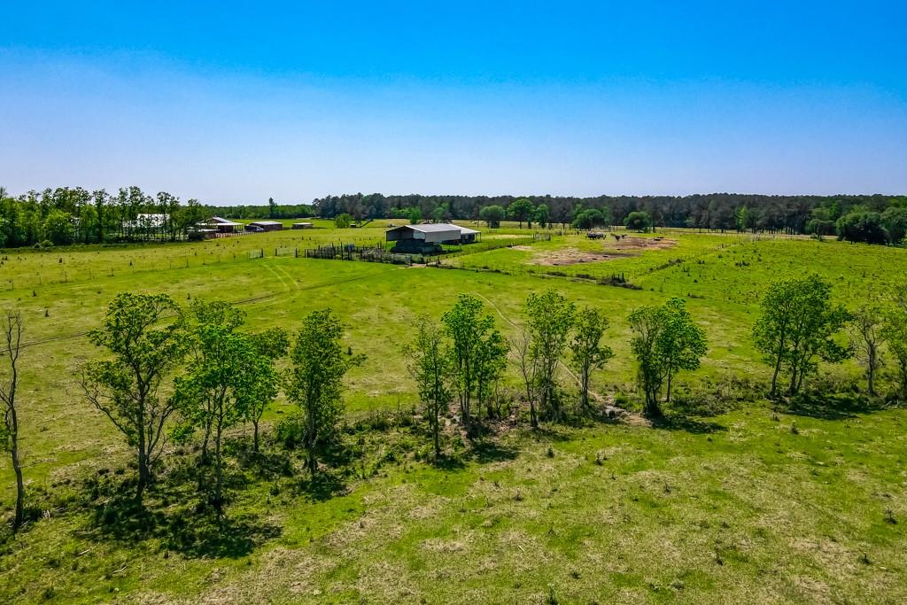 84241 Highway 437 Covington, LA 70435 - Photo 2 of 15