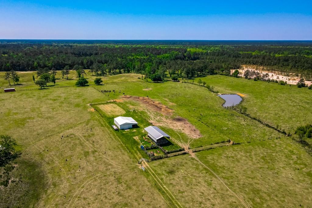 84241 Highway 437 Covington, LA 70435 - Photo 3 of 15