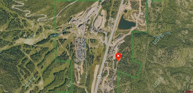 a close up of a plant