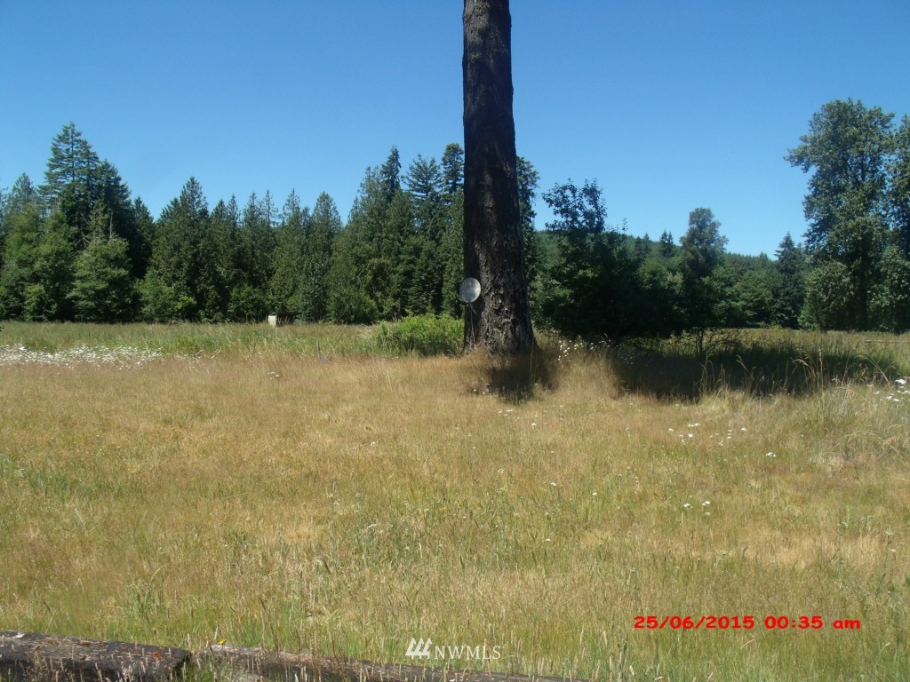 893 Wildwood Road Curtis, WA 98538 - Photo 2 of 24