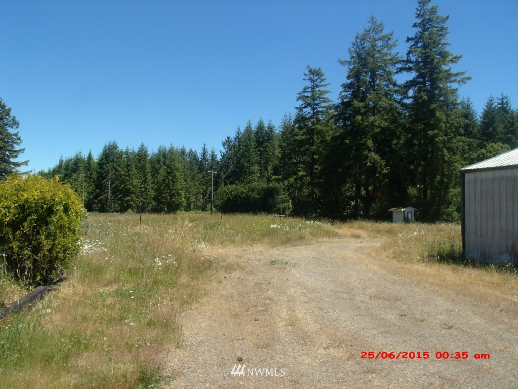893 Wildwood Road Curtis, WA 98538 - Photo 4 of 24