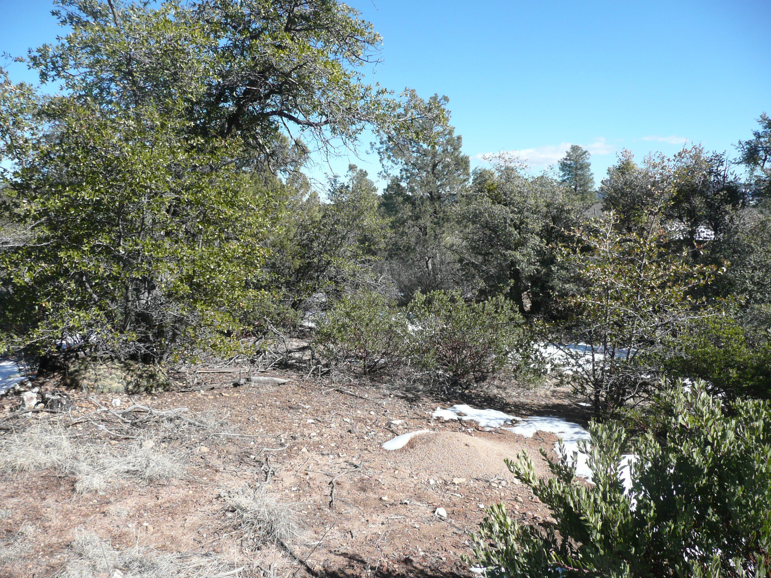 1440 Eureka Ridge Way Prescott, AZ 86303 - Photo 5 of 14 P1040330