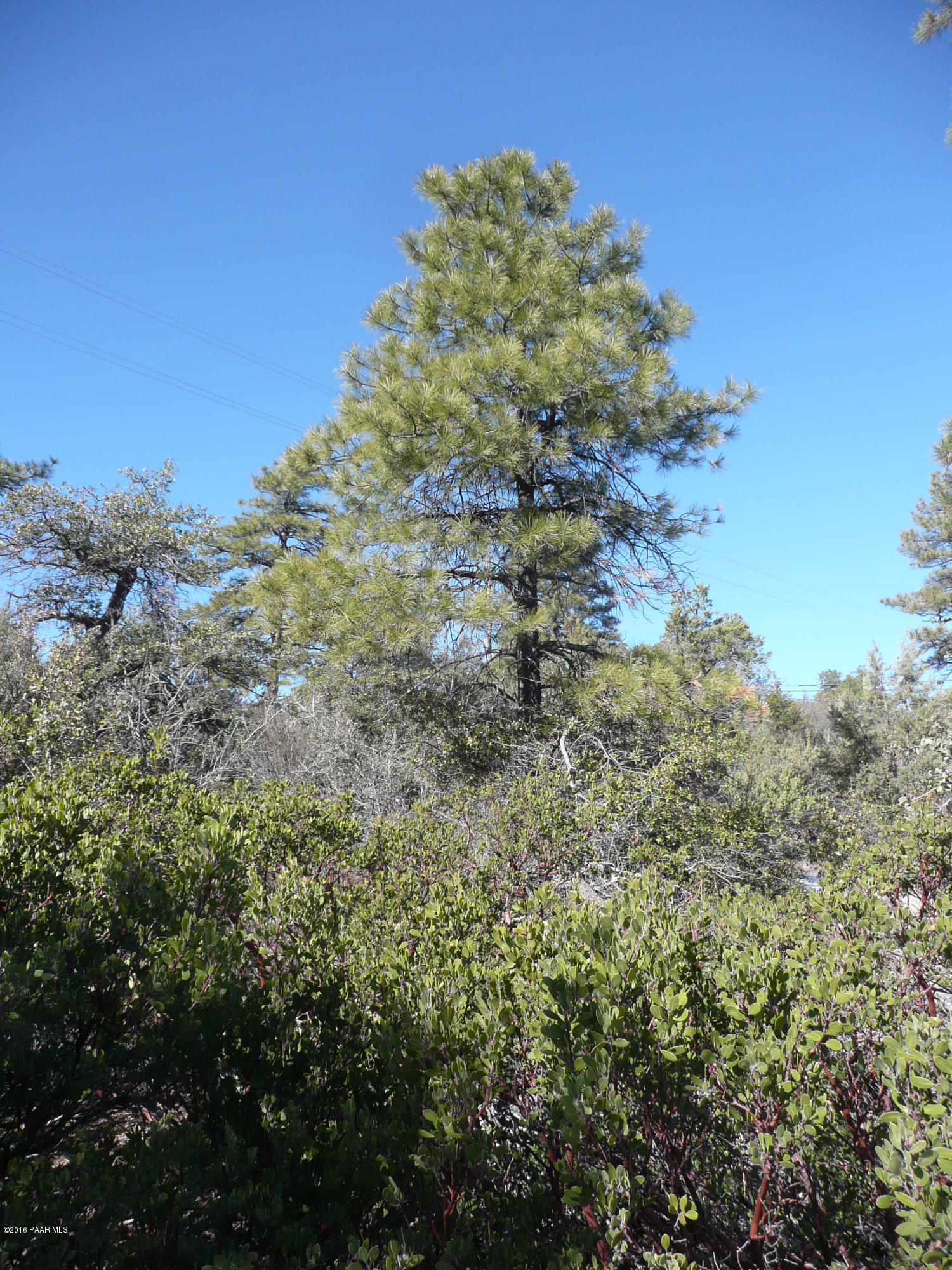 1440 Eureka Ridge Way Prescott, AZ 86303 - Photo 9 of 14 P1040334