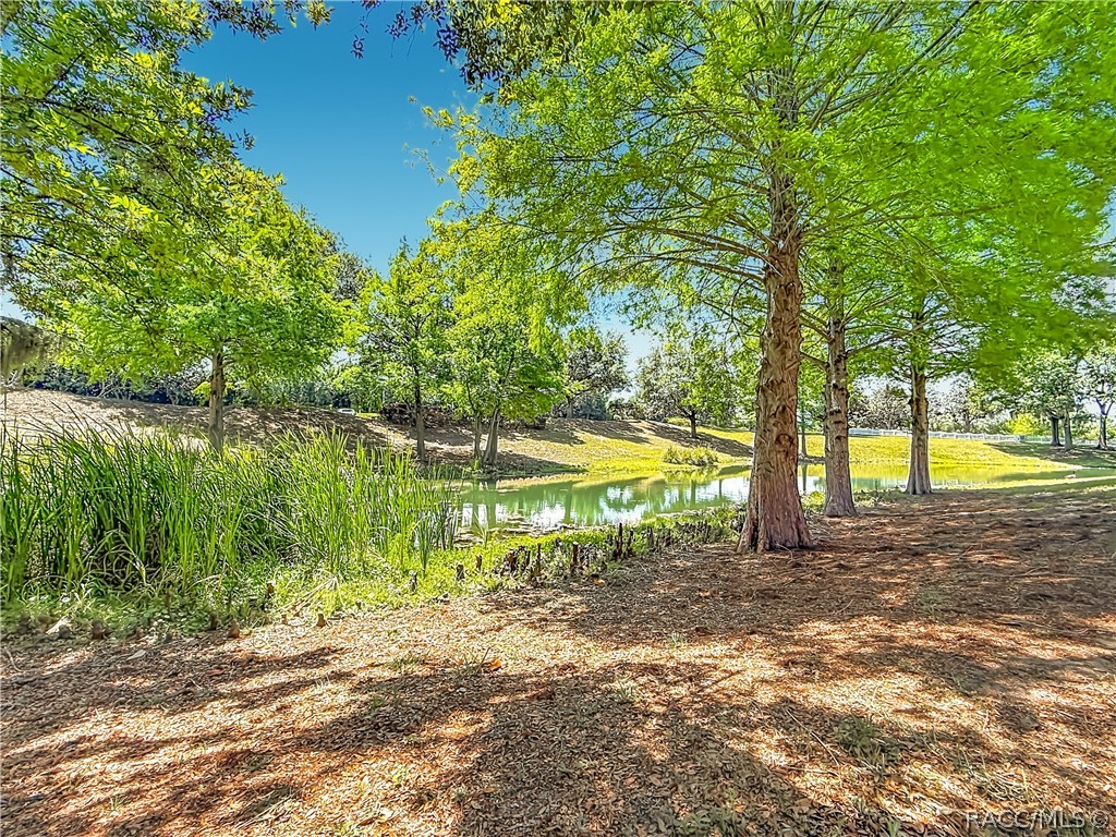 1660 West Spring Meadow Loop Lecanto, FL 34461 - Photo 39 of 54