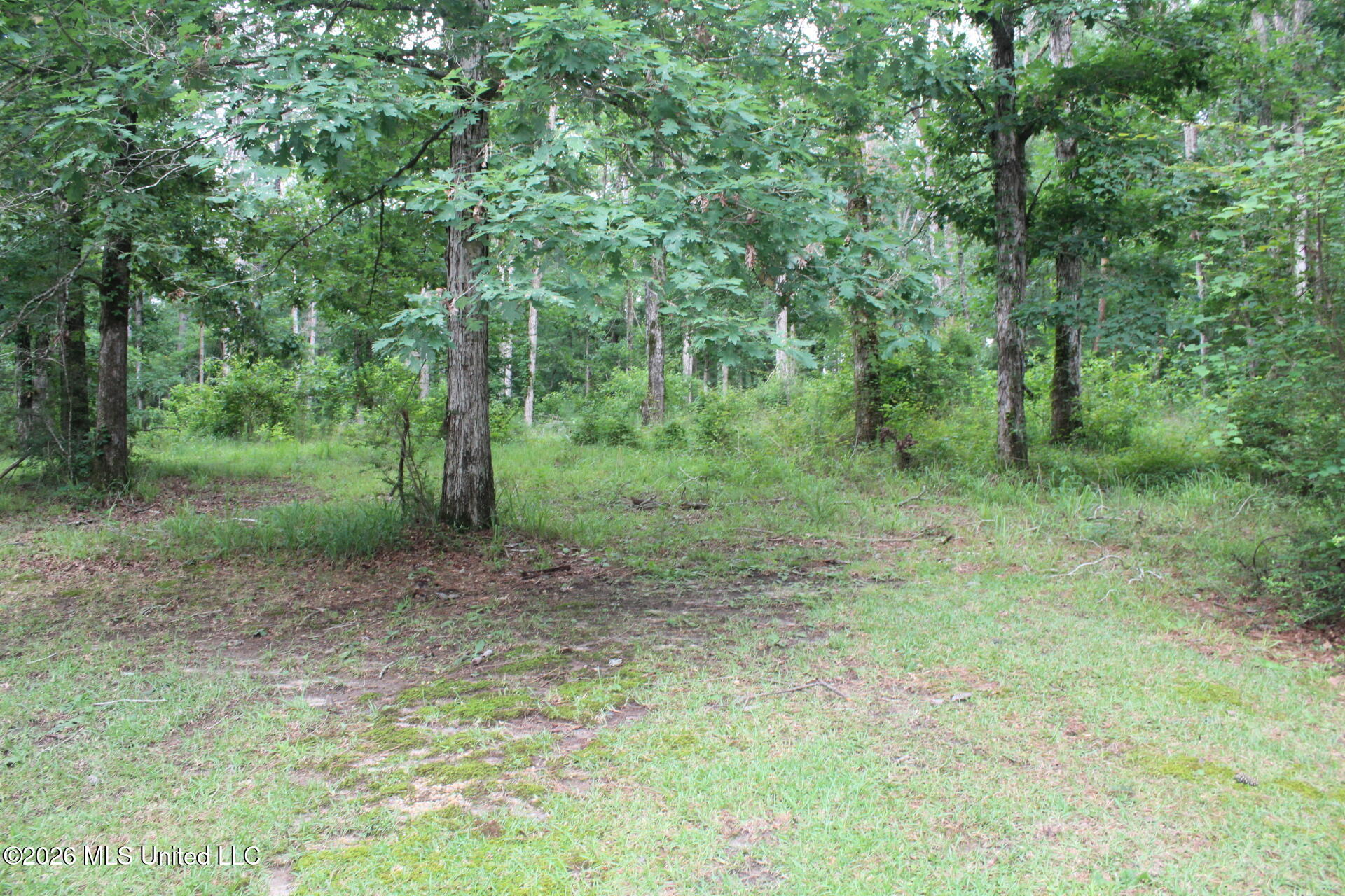 429 River Rd Drive Southeast Bogue Chitto, MS 39629 - Photo 17 of 38 IMG_9734