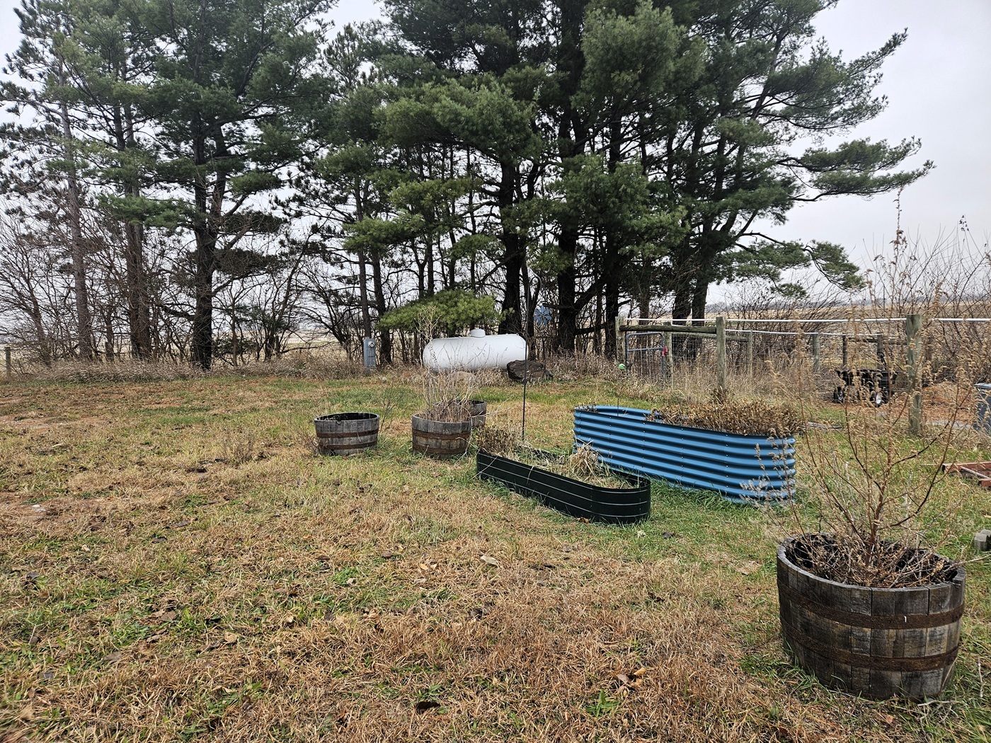 809 McCoy Road Amboy, IL 61310 - Photo 54 of 58 a view of a lake with a bench and trees