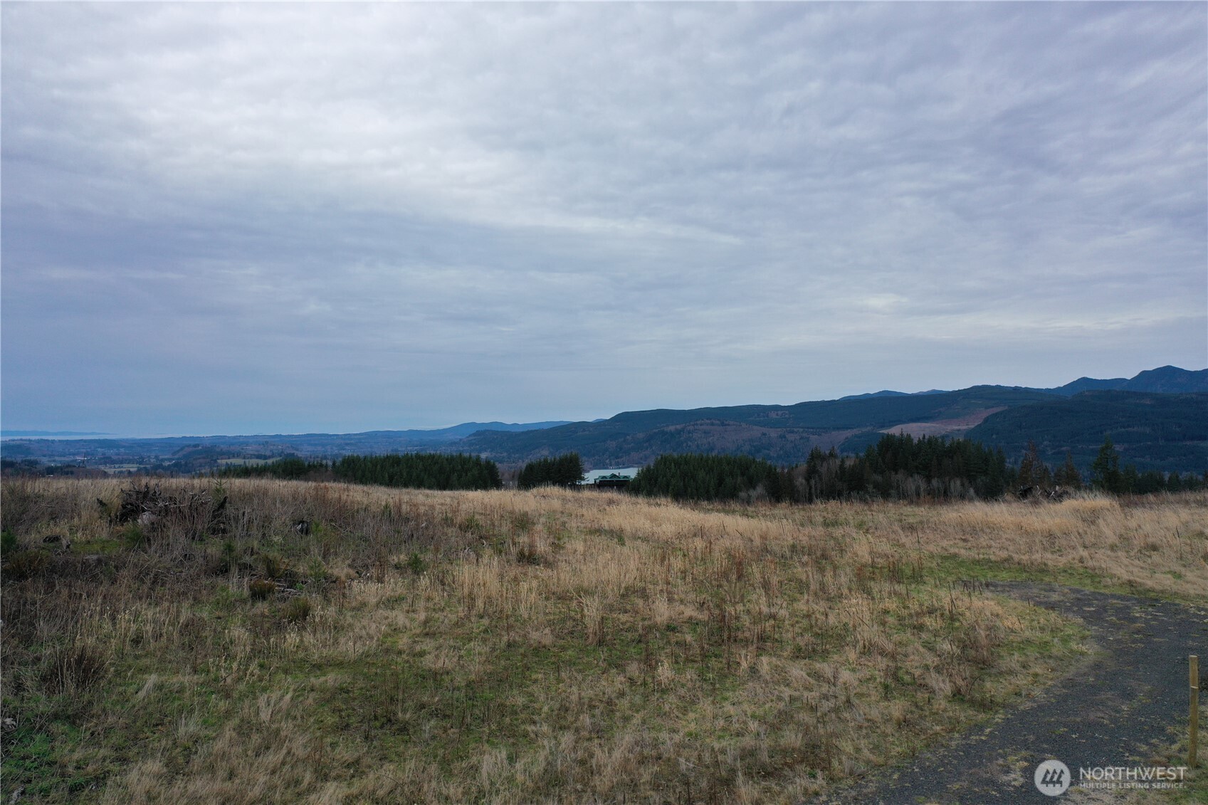 4 Hagen Road Mossyrock, WA 98564 - Photo 3 of 15