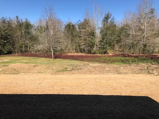 1632 Abbey Loop Foley, AL 36535 - Photo 12 of 13 View from back