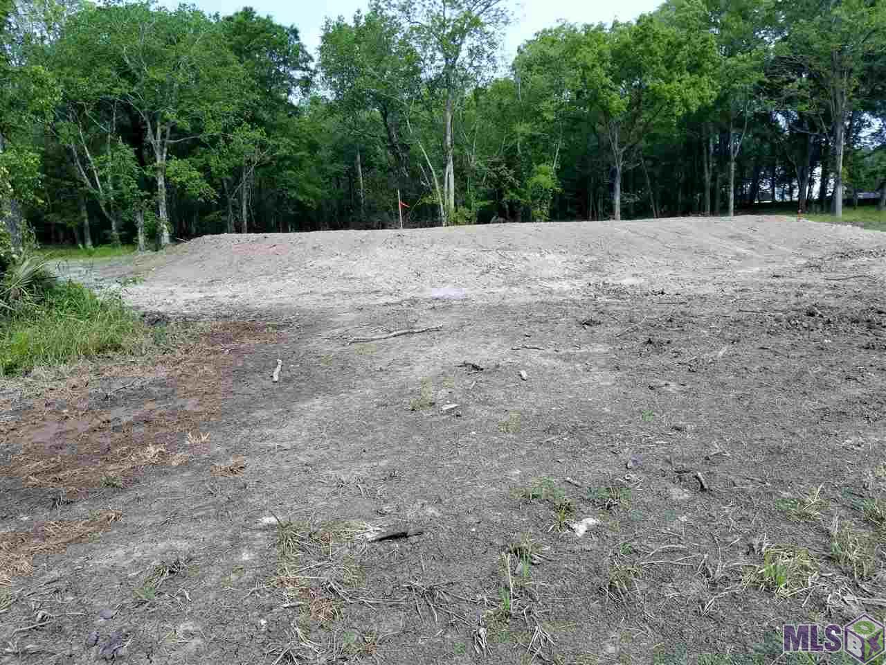A-1 C Bluff Road Geismar, LA 70734 - Photo 1 of 3 Gallery Image 1