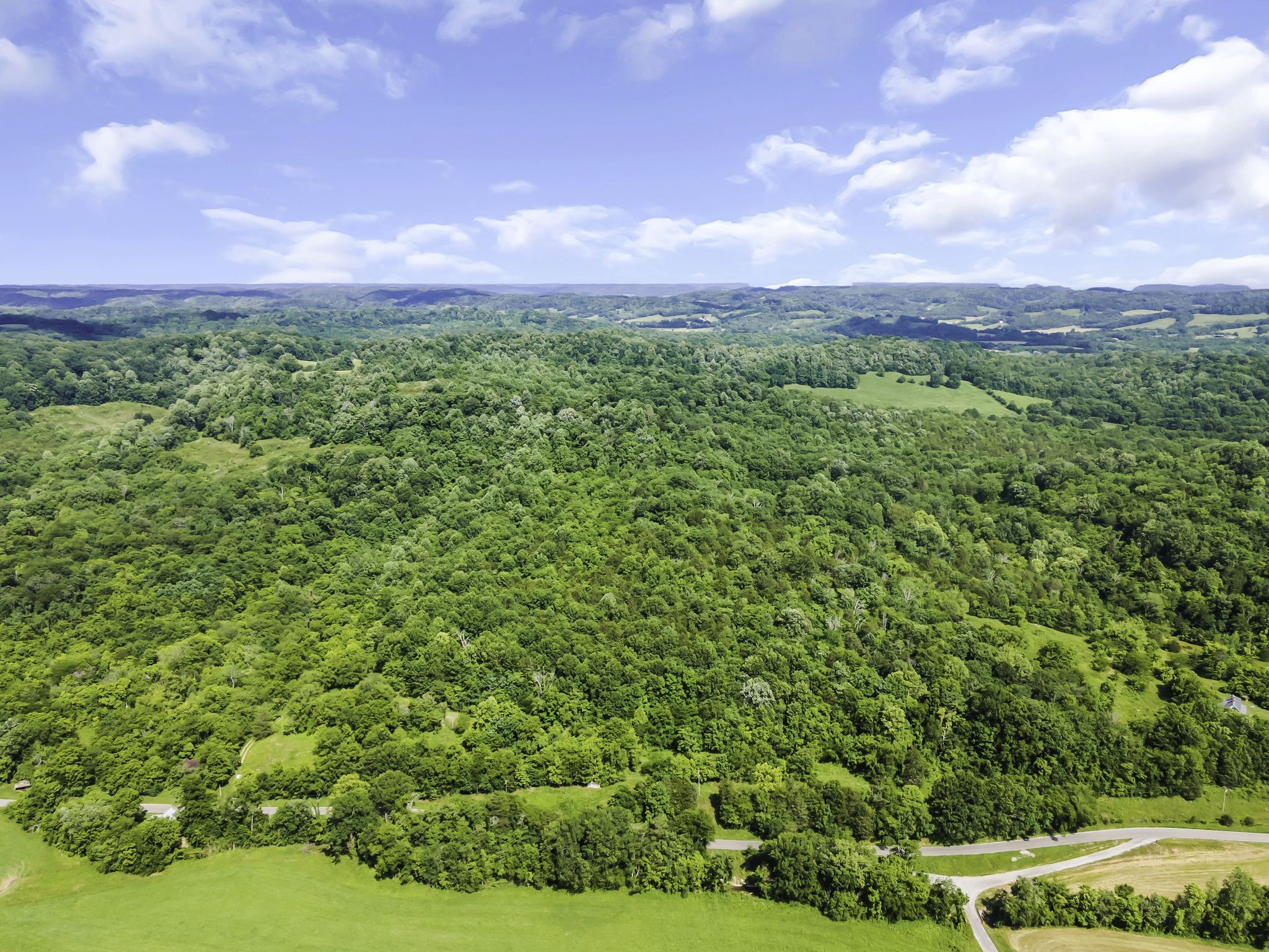 a view of a lush green field