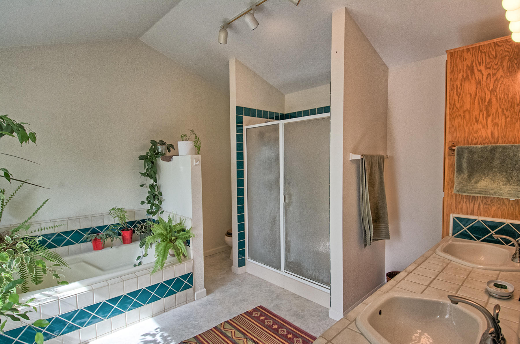8059 Silver Bridge Road Palo Cedro, CA 96073 - Photo 13 of 30 Master Bath