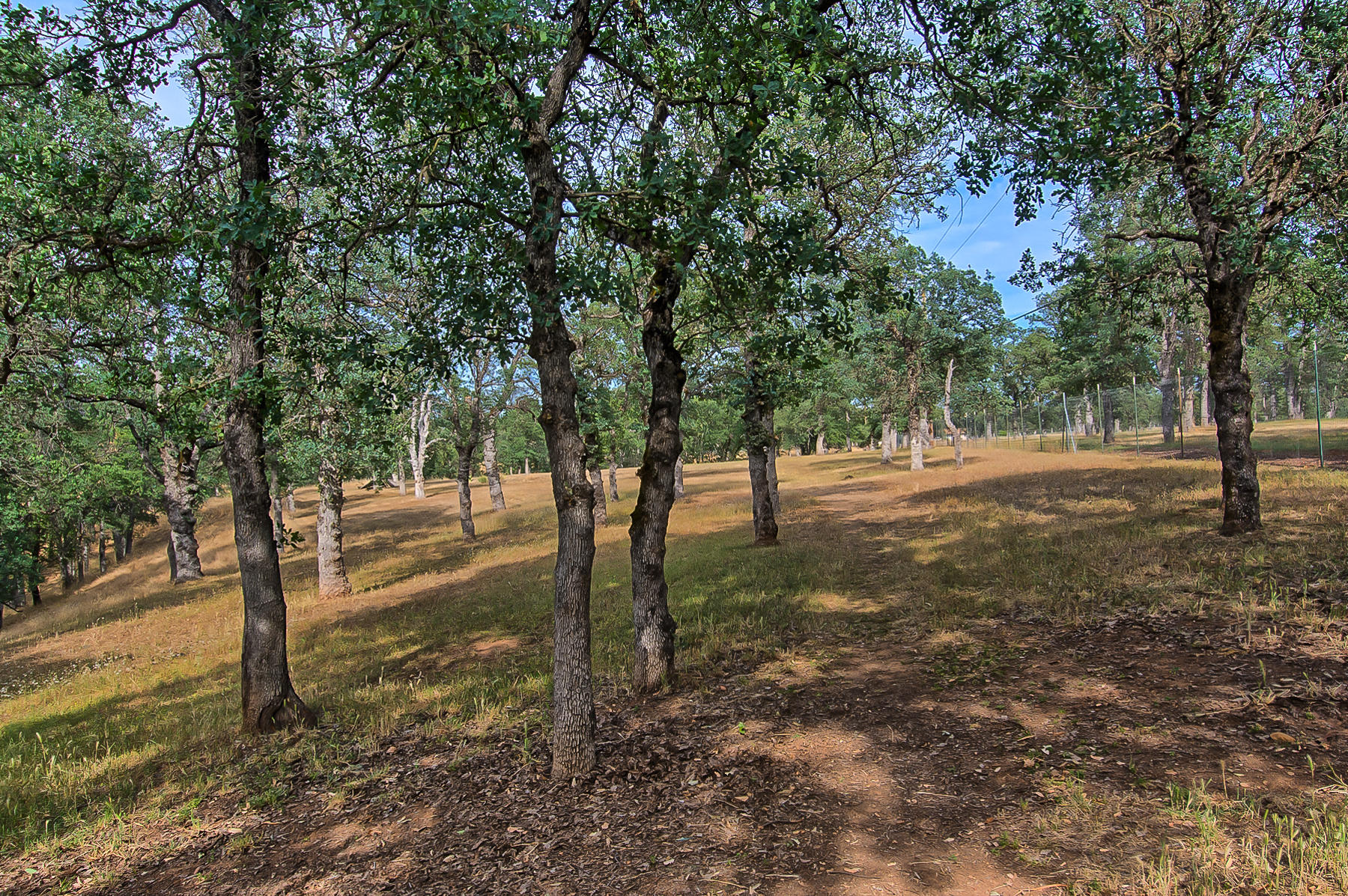 8059 Silver Bridge Road Palo Cedro, CA 96073 - Photo 24 of 30 Property