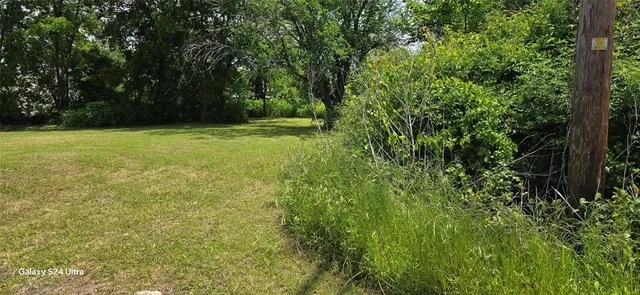 a view of outdoor space and yard