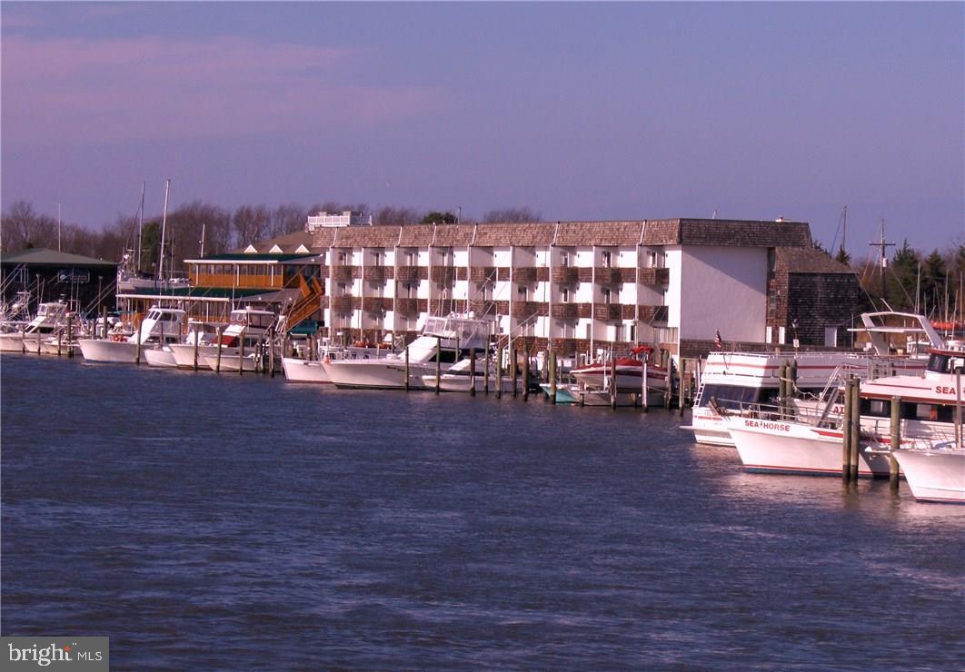 211 Anglers Road, Unit 305B Lewes, DE 19958 - Photo 16 of 44 Gallery Image 16