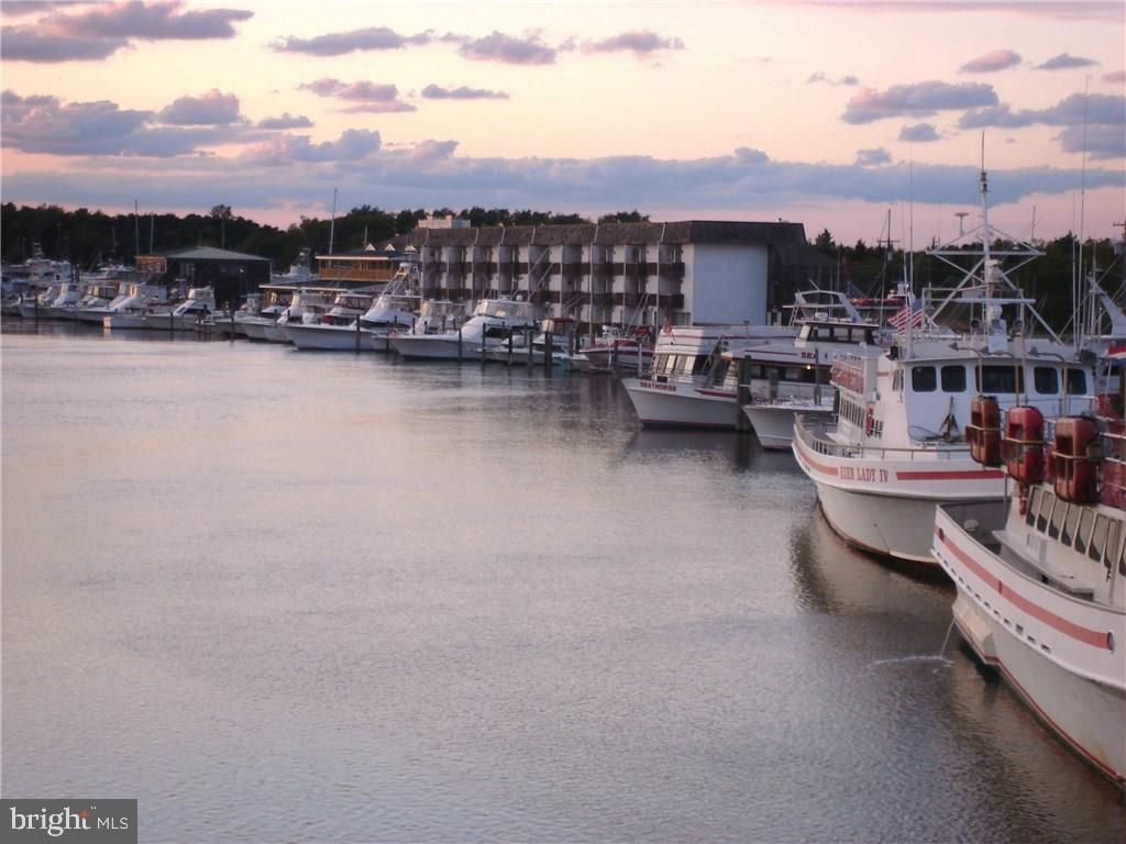 211 Anglers Road, Unit 305B Lewes, DE 19958 - Photo 3 of 44 Gallery Image 3