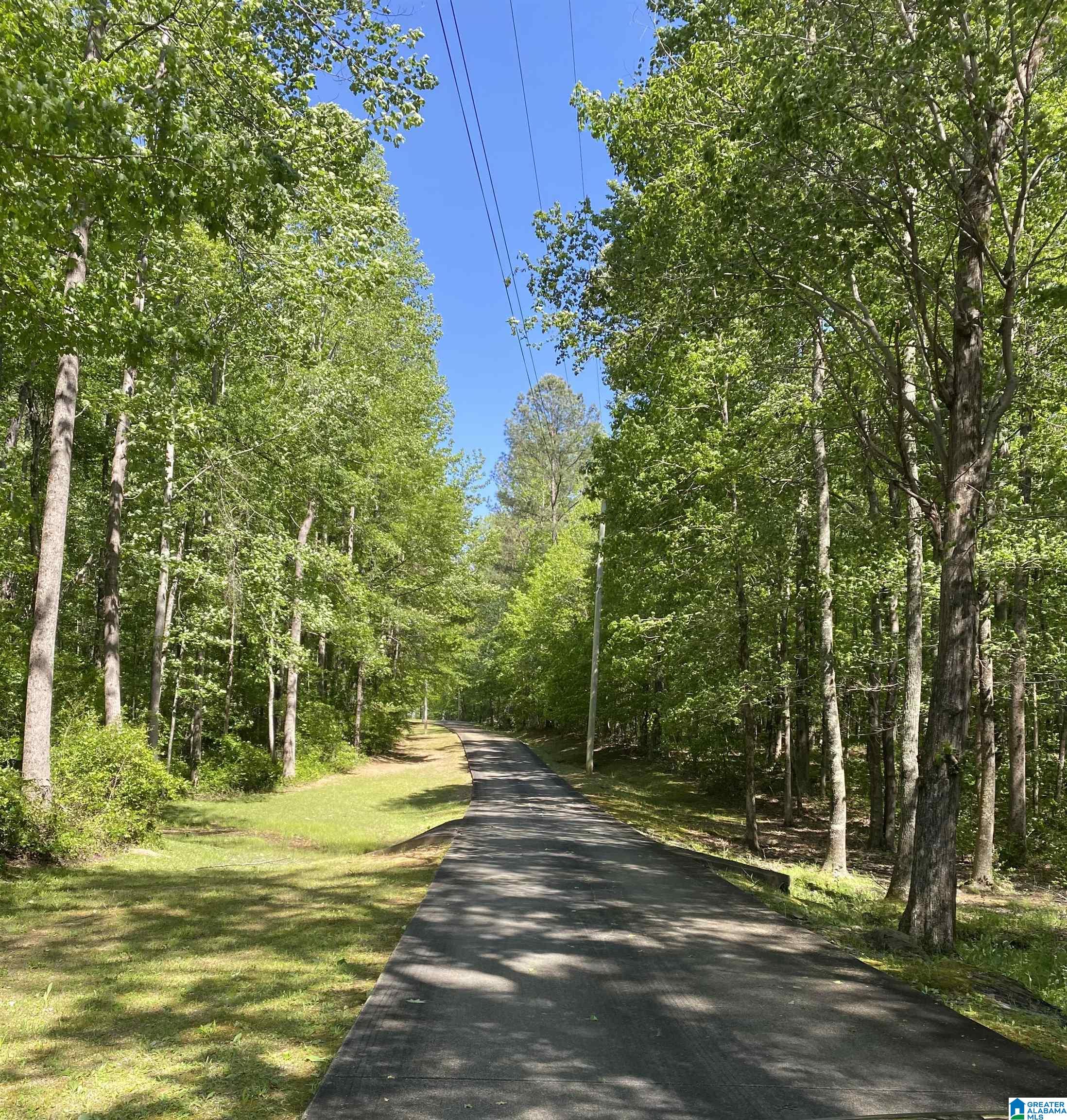 254 Bunkum Creek Road Nauvoo, AL 35578 - Photo 42 of 44