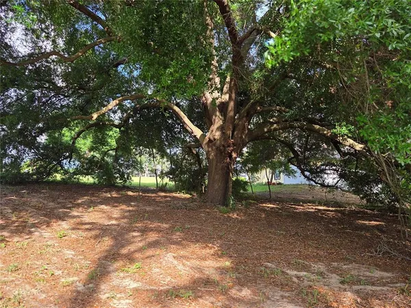 $200,000 | 1408 Westmoreland Avenue, Eustis, FL 32726