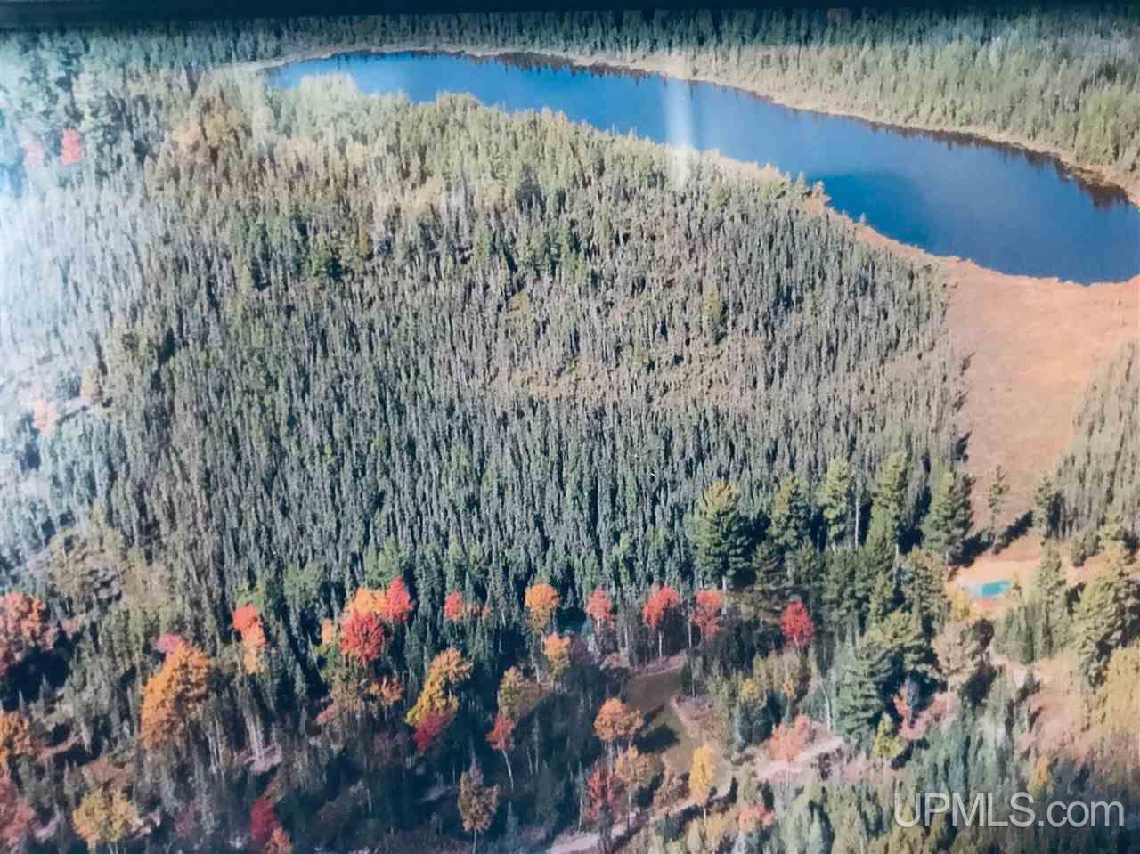 13990 Casey Lake Road Ishpeming, MI 49849 - Photo 38 of 40