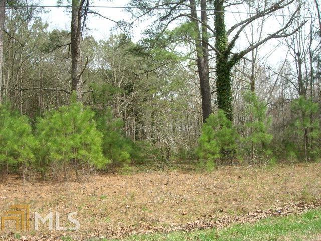 481 Grady Whitton Road Bremen, GA 30110 - Photo 1 of 1
