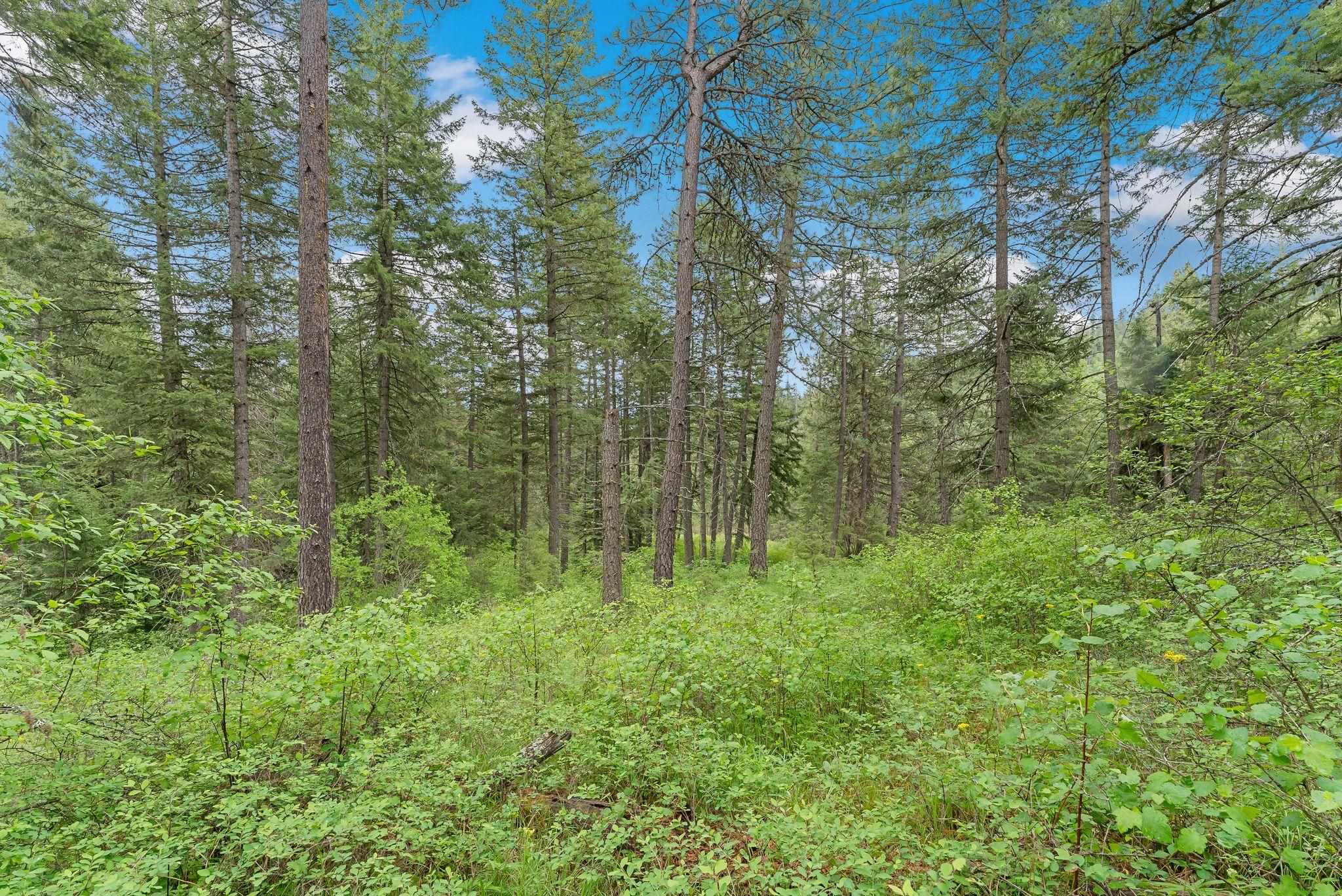 14216 North Norman Road Spokane, WA 99217 - Photo 26 of 50
