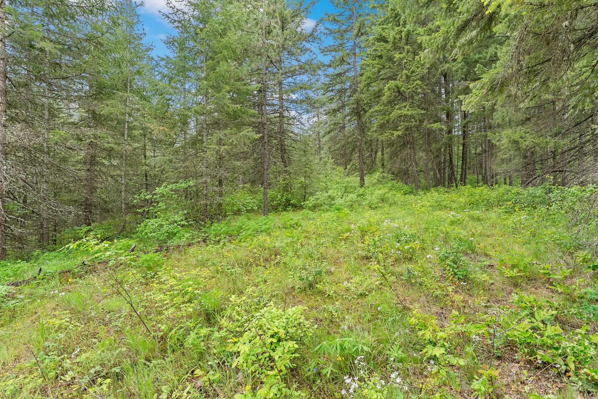 14216 North Norman Road Spokane, WA 99217 - Photo 27 of 50