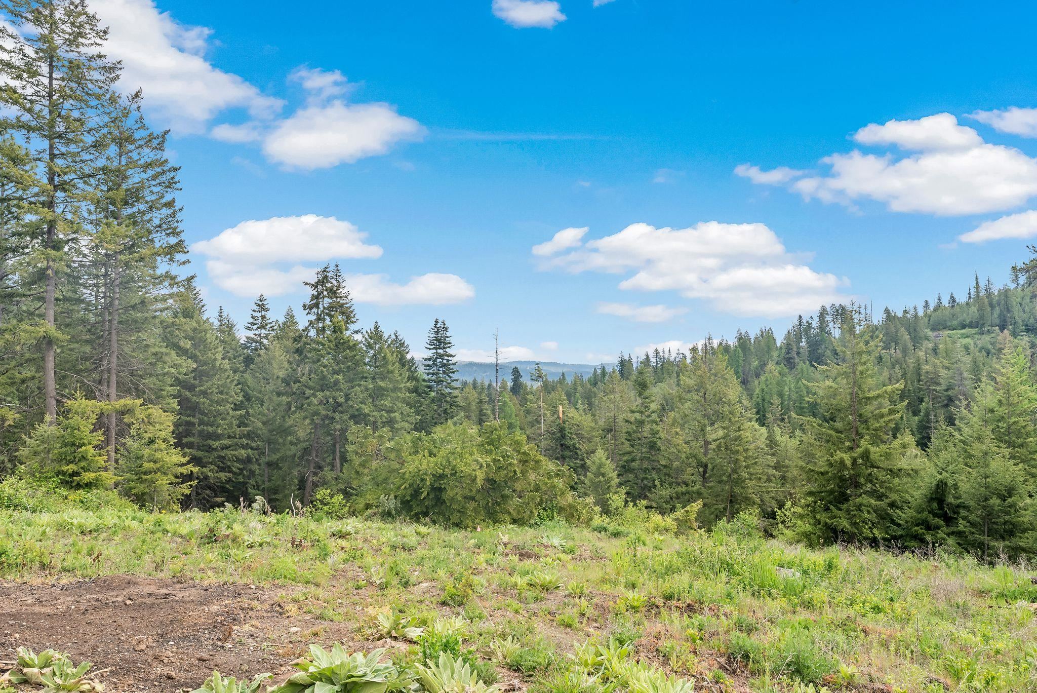 14216 North Norman Road Spokane, WA 99217 - Photo 33 of 50