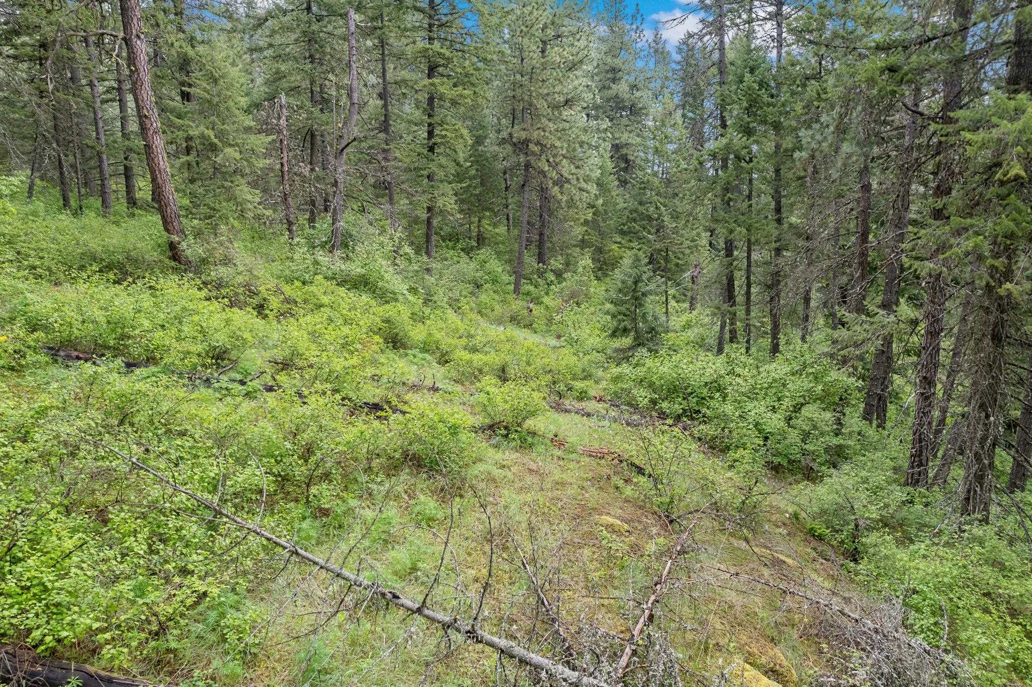 14216 North Norman Road Spokane, WA 99217 - Photo 35 of 50