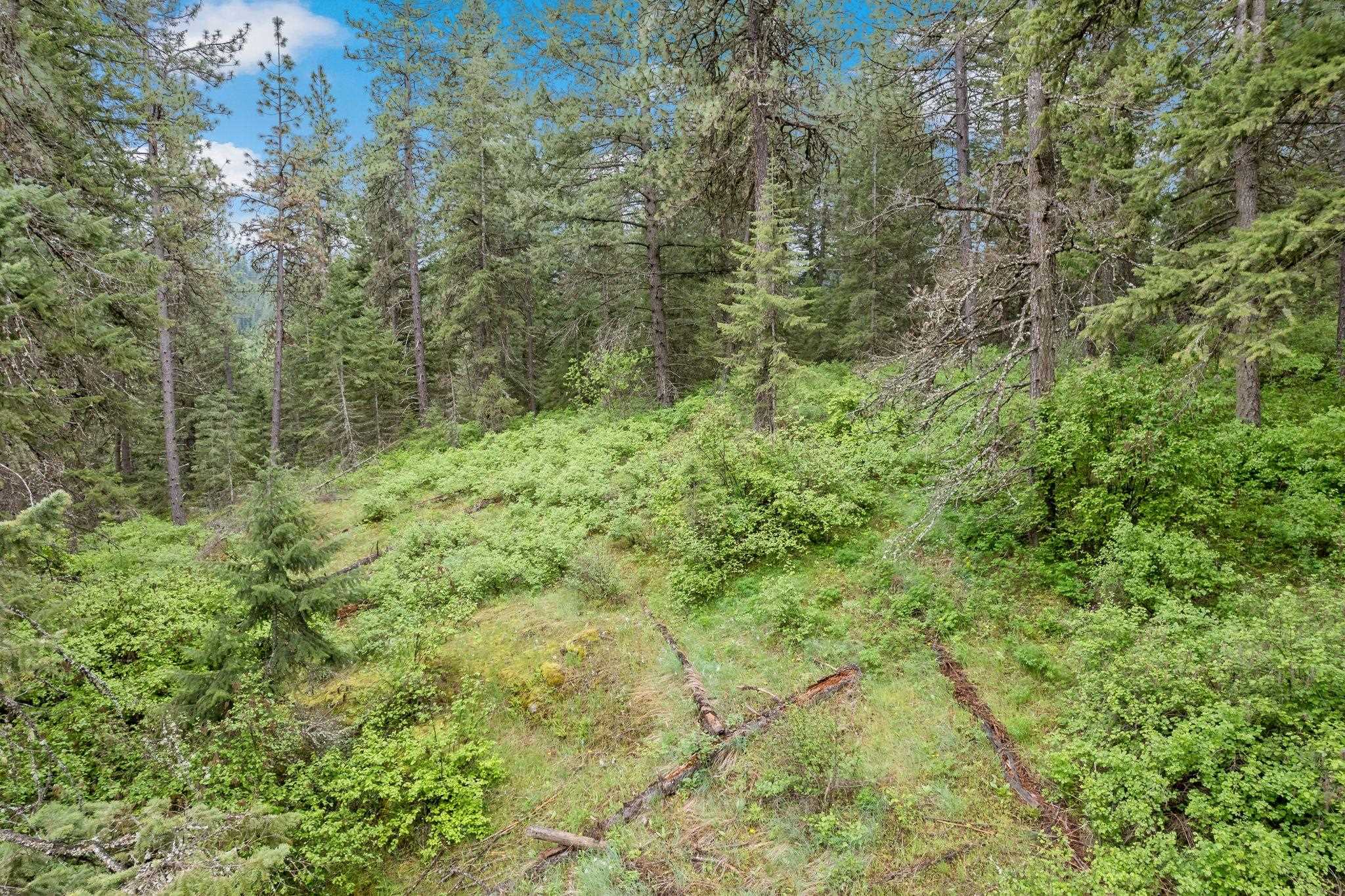 14216 North Norman Road Spokane, WA 99217 - Photo 36 of 50