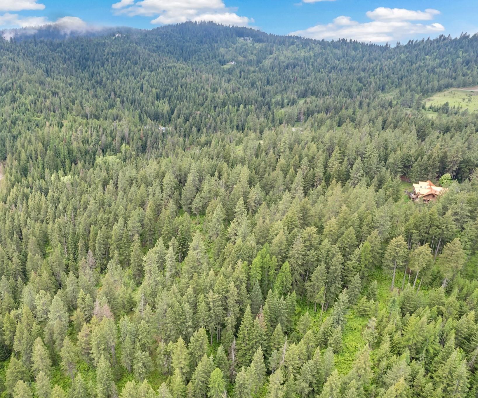 14216 North Norman Road Spokane, WA 99217 - Photo 41 of 50