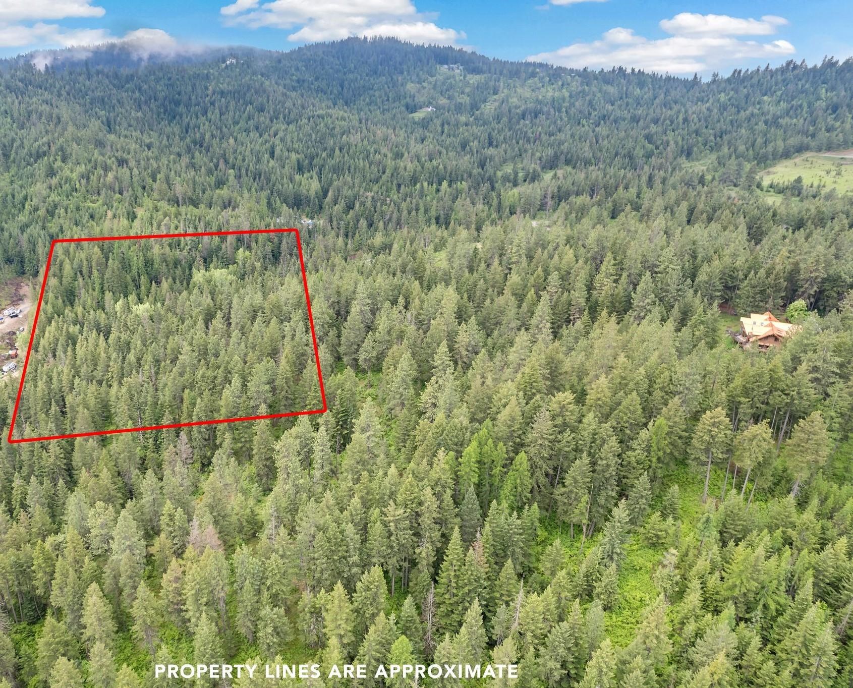 14216 North Norman Road Spokane, WA 99217 - Photo 42 of 50