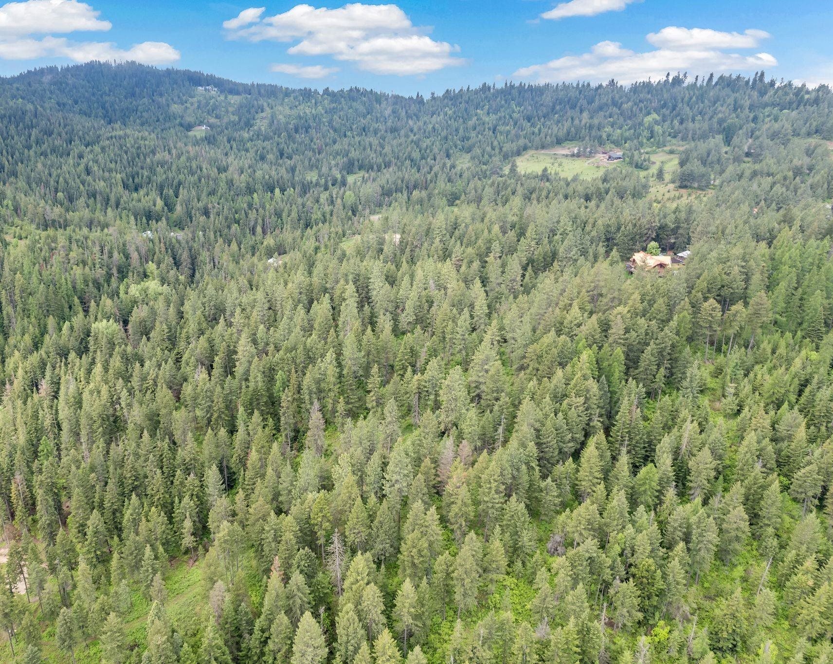14216 North Norman Road Spokane, WA 99217 - Photo 43 of 50