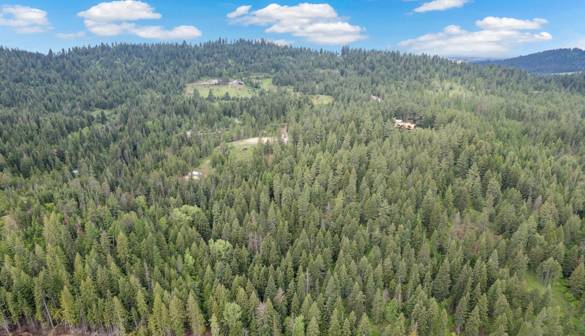 14216 North Norman Road Spokane, WA 99217 - Photo 44 of 50