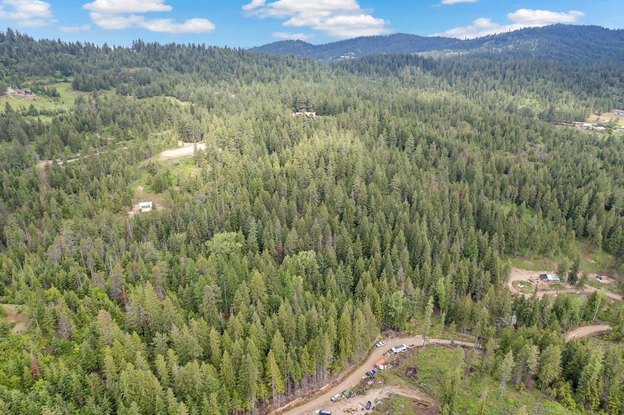 14216 North Norman Road Spokane, WA 99217 - Photo 46 of 50