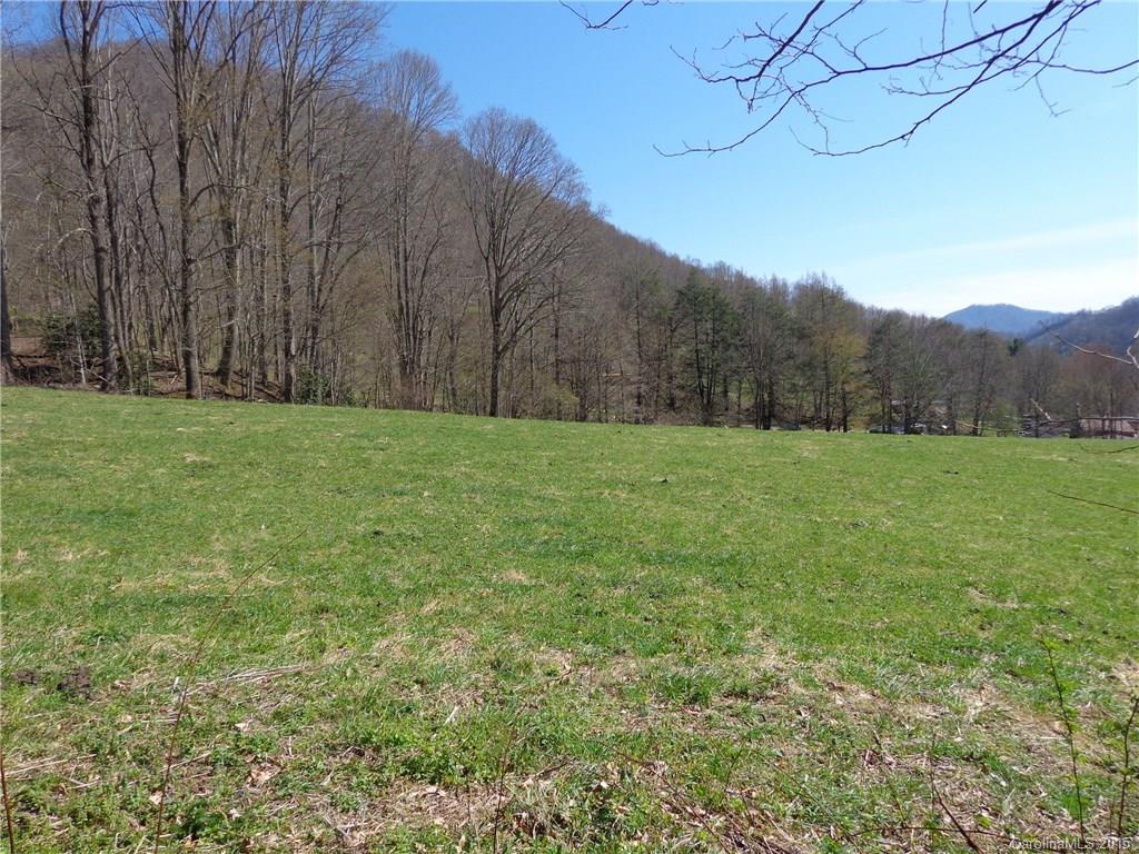 126 Round Rock Road Clyde, NC 28721 - Photo 2 of 13