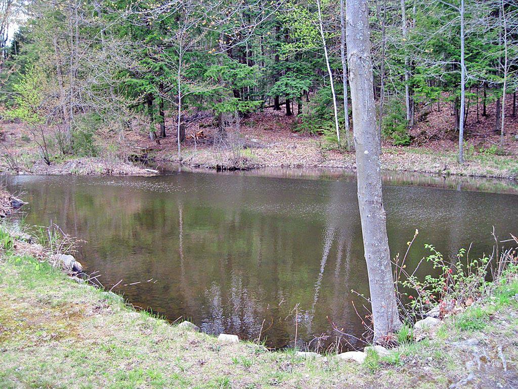 315 Raymond Road Chester, NH 03036 - Photo 25 of 29