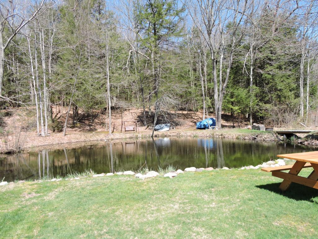 315 Raymond Road Chester, NH 03036 - Photo 26 of 29