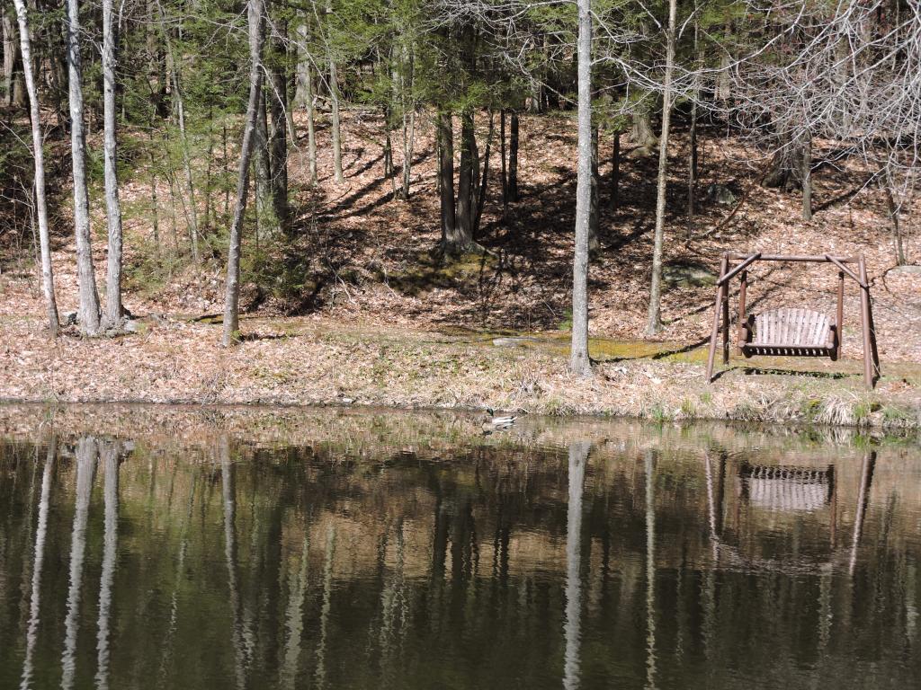315 Raymond Road Chester, NH 03036 - Photo 27 of 29