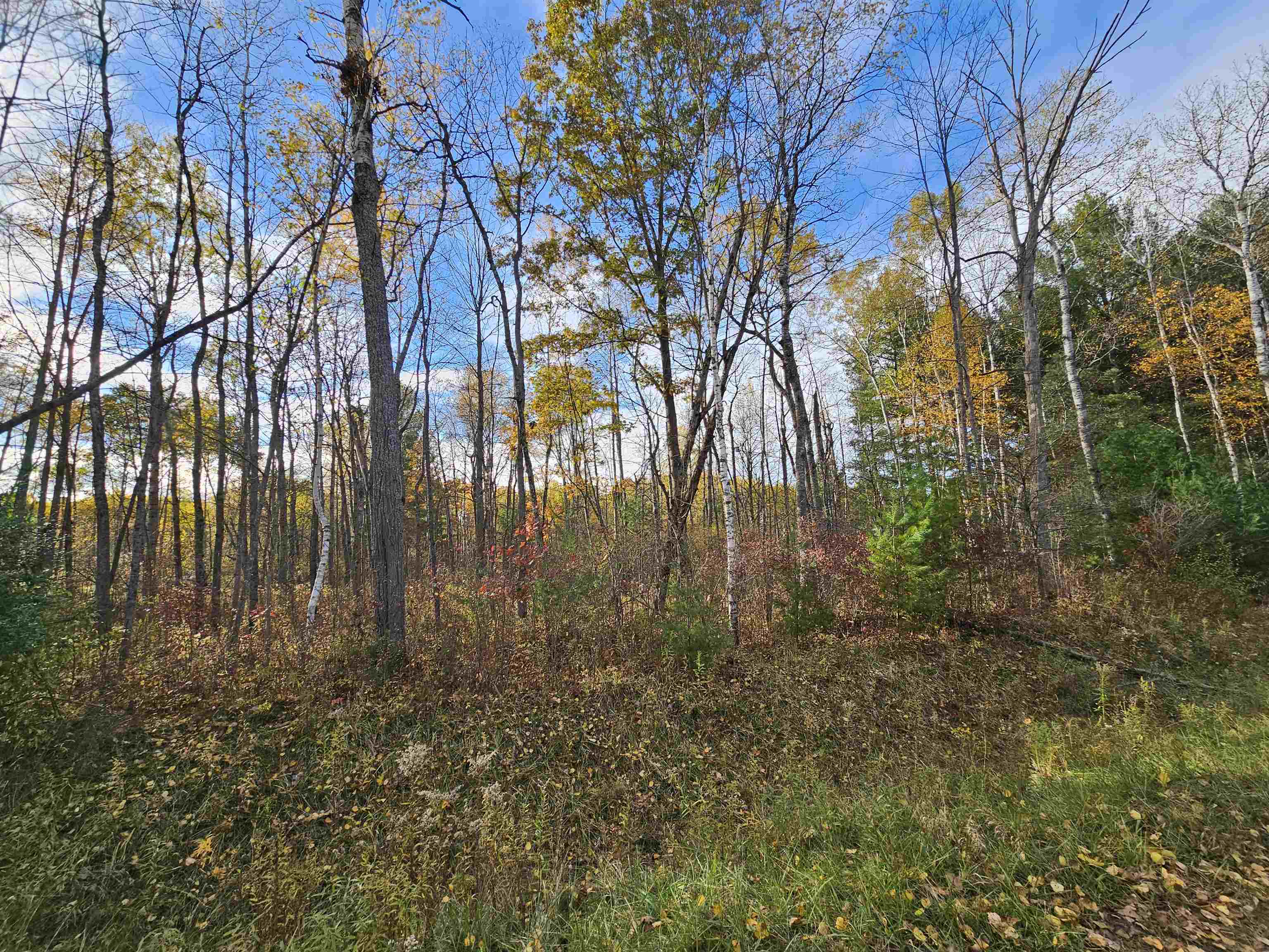 20 Acres Deerhaven Road Alger, MI 48610 - Photo 5 of 6