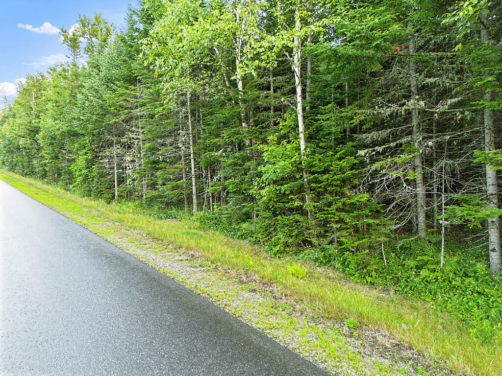Lot 1 East B Hill Road Newry, ME 04261 - Photo 16 of 16 15_DJI_0327_DxO_mls