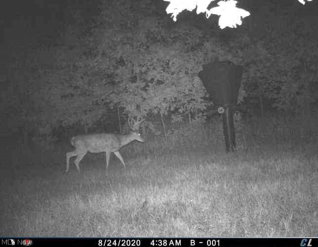 55234 North Star Road Pleasant City, OH 43772 - Photo 8 of 35