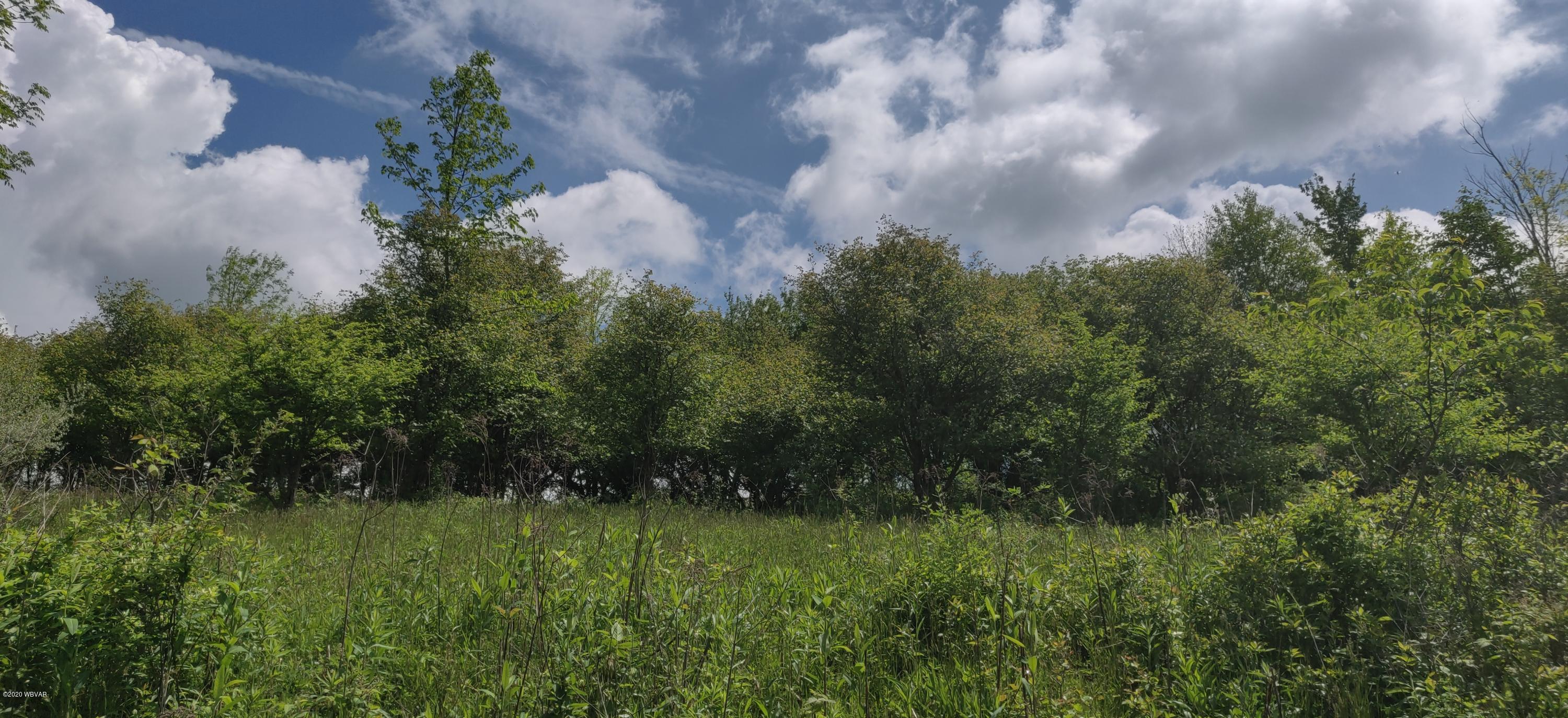 Rietter Hill Road Westfield, PA 16950 - Photo 20 of 24 Gallery Image 20