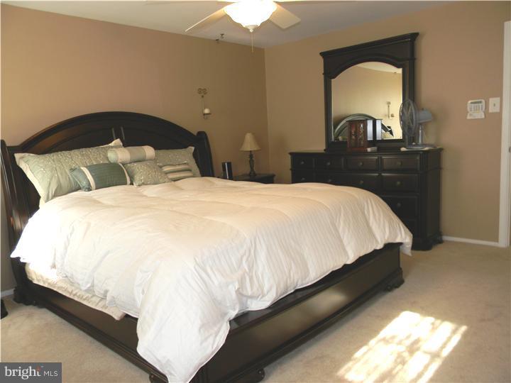 19 Papermill Road Cherry Hill, NJ 08003 - Photo 11 of 25 Master Bedroom