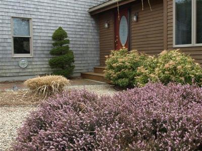 114 Shore Road Truro, MA 02666 - Photo 18 of 30 a pathway of a house with a yard