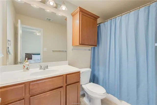 a bathroom with a sink a toilet a mirror and shower curtain