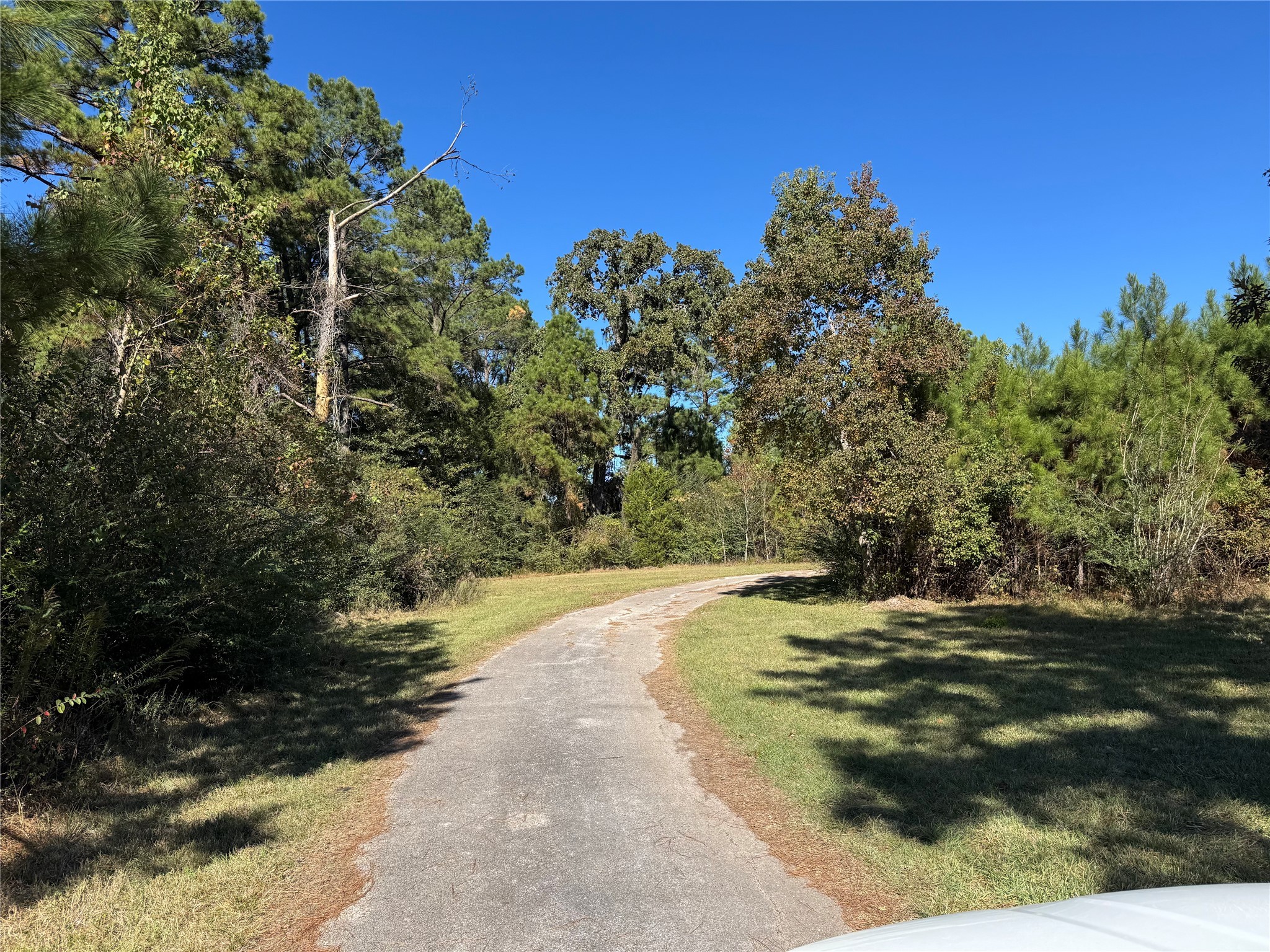 24879 Macedonia Road Hockley, TX 77447 - Photo 13 of 32